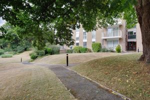 Communal Grounds- click for photo gallery